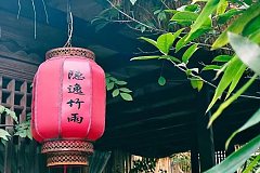 隱逸竹雨